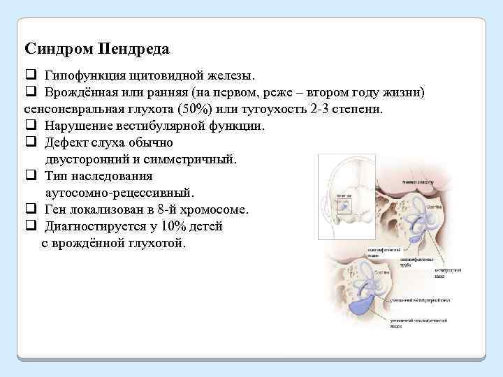 Синдром пендреда презентация