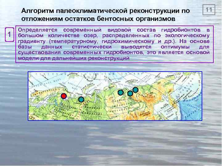 Алгоритм палеоклиматической реконструкции по отложениям остатков бентосных организмов 1 11 Определяется современный видовой состав