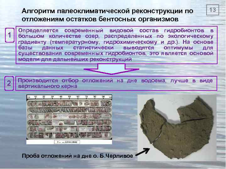 Алгоритм палеоклиматической реконструкции по отложениям остатков бентосных организмов 1 2 13 Определяется современный видовой