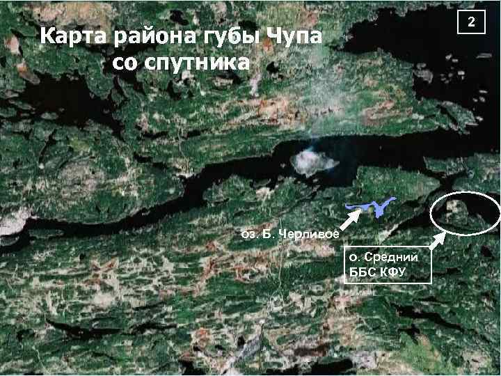 2 Карта района губы Чупа со спутника оз. Б. Черливое о. Средний ББС КФУ
