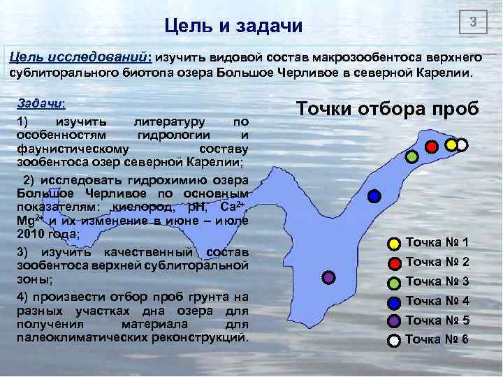 Цель и задачи 3 Цель исследований: изучить видовой состав макрозообентоса верхнего сублиторального биотопа озера