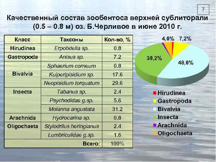 7 Качественный состав зообентоса верхней сублиторали (0. 5 – 0. 8 м) оз. Б.