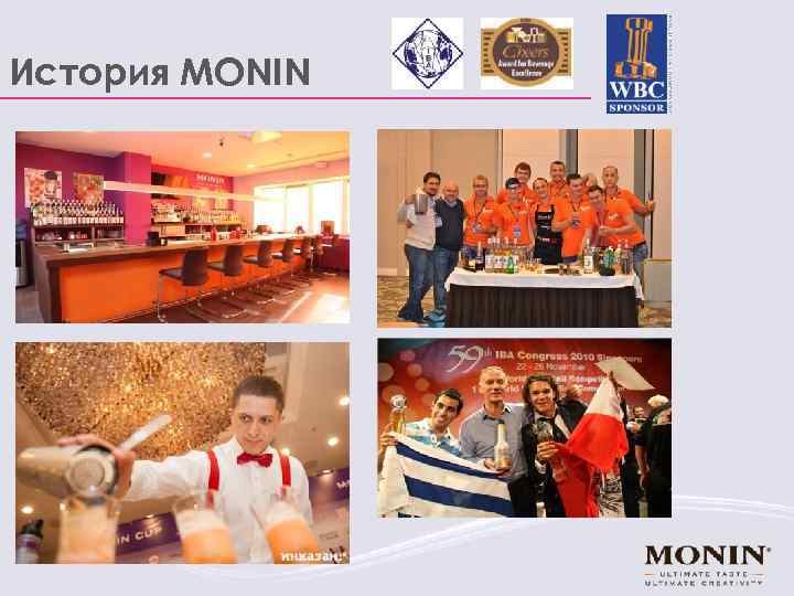 История MONIN 