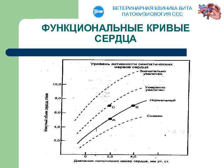 ВЕТЕРИНАРНАЯ КЛИНИКА ВИТА ПАТОФИЗИОЛОГИЯ ССС ФУНКЦИОНАЛЬНЫЕ КРИВЫЕ СЕРДЦА 