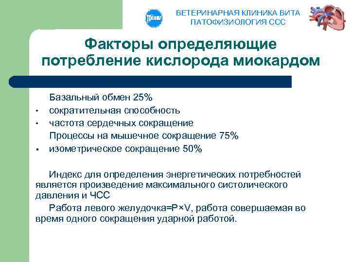 ВЕТЕРИНАРНАЯ КЛИНИКА ВИТА ПАТОФИЗИОЛОГИЯ ССС Факторы определяющие потребление кислорода миокардом • • § Базальный