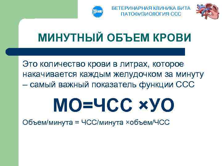 ВЕТЕРИНАРНАЯ КЛИНИКА ВИТА ПАТОФИЗИОЛОГИЯ ССС МИНУТНЫЙ ОБЪЕМ КРОВИ Это количество крови в литрах, которое