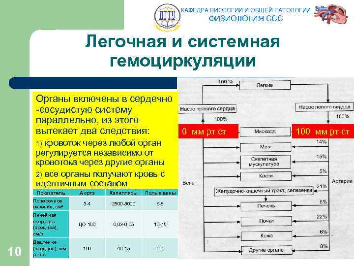 КАФЕДРА БИОЛОГИИ И ОБЩЕЙ ПАТОЛОГИИ ФИЗИОЛОГИЯ ССС Легочная и системная гемоциркуляции Органы включены в