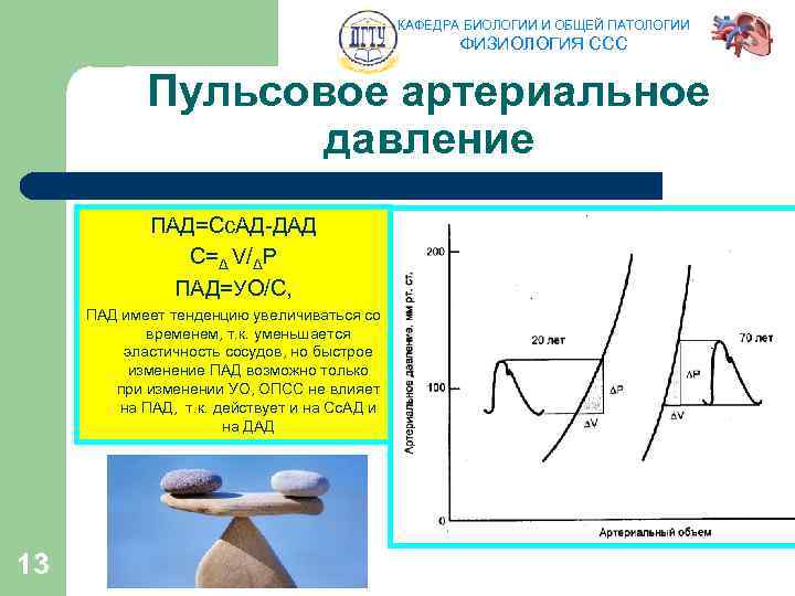 КАФЕДРА БИОЛОГИИ И ОБЩЕЙ ПАТОЛОГИИ ФИЗИОЛОГИЯ ССС Пульсовое артериальное давление ПАД=Сс. АД-ДАД C=Δ V/ΔP