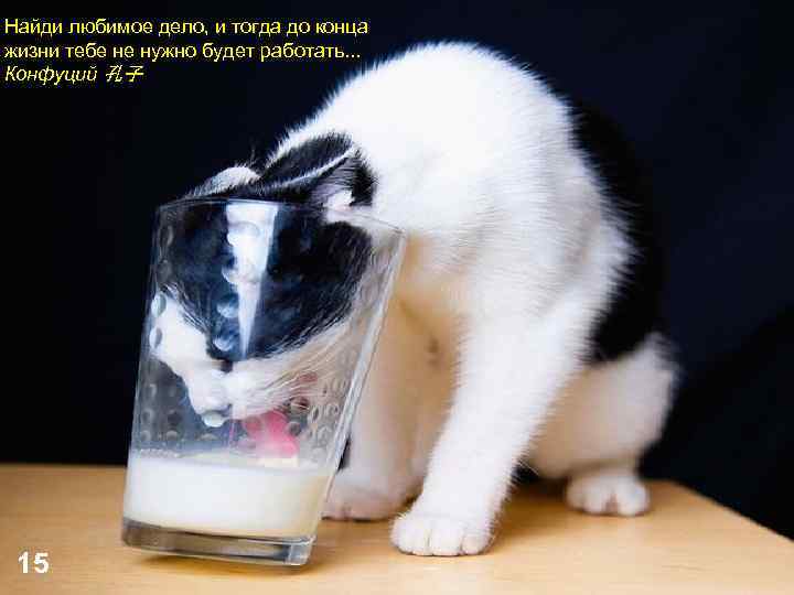 Найди любимое дело, и тогда до конца жизни тебе не нужно будет работать. .
