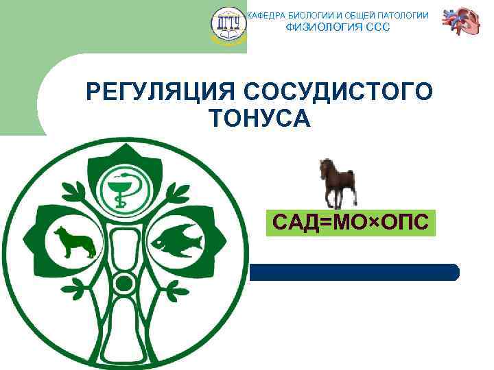 КАФЕДРА БИОЛОГИИ И ОБЩЕЙ ПАТОЛОГИИ ФИЗИОЛОГИЯ ССС РЕГУЛЯЦИЯ СОСУДИСТОГО ТОНУСА САД=МО×ОПС 16 