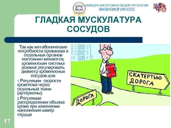 КАФЕДРА БИОЛОГИИ И ОБЩЕЙ ПАТОЛОГИИ ФИЗИОЛОГИЯ ССС ГЛАДКАЯ МУСКУЛАТУРА СОСУДОВ Так как метаболические потребности