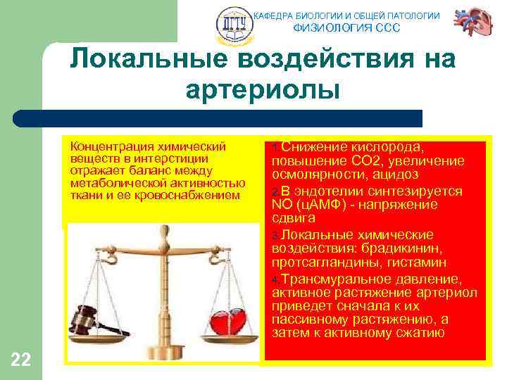 КАФЕДРА БИОЛОГИИ И ОБЩЕЙ ПАТОЛОГИИ ФИЗИОЛОГИЯ ССС Локальные воздействия на артериолы Концентрация химический веществ
