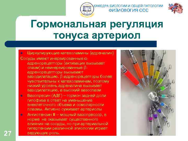 КАФЕДРА БИОЛОГИИ И ОБЩЕЙ ПАТОЛОГИИ ФИЗИОЛОГИЯ ССС Гормональная регуляция тонуса артериол Циркулирующие катехоламины (адреналин)
