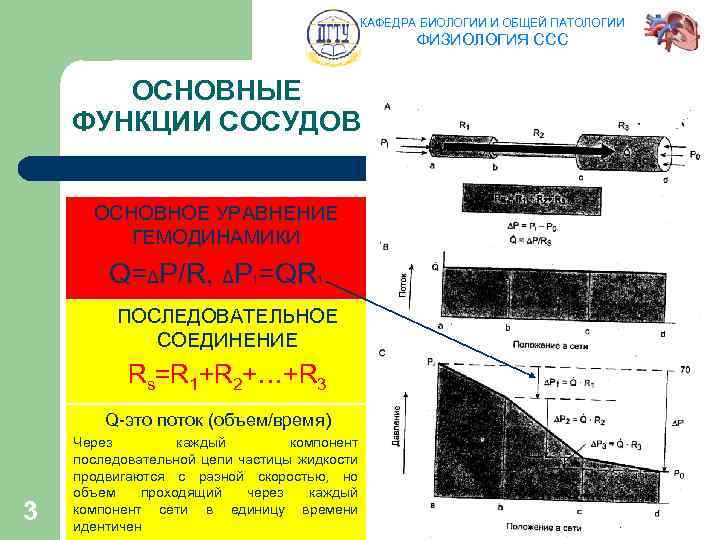 КАФЕДРА БИОЛОГИИ И ОБЩЕЙ ПАТОЛОГИИ ФИЗИОЛОГИЯ ССС ОСНОВНЫЕ ФУНКЦИИ СОСУДОВ ОСНОВНОЕ УРАВНЕНИЕ ГЕМОДИНАМИКИ Q=ΔP/R,