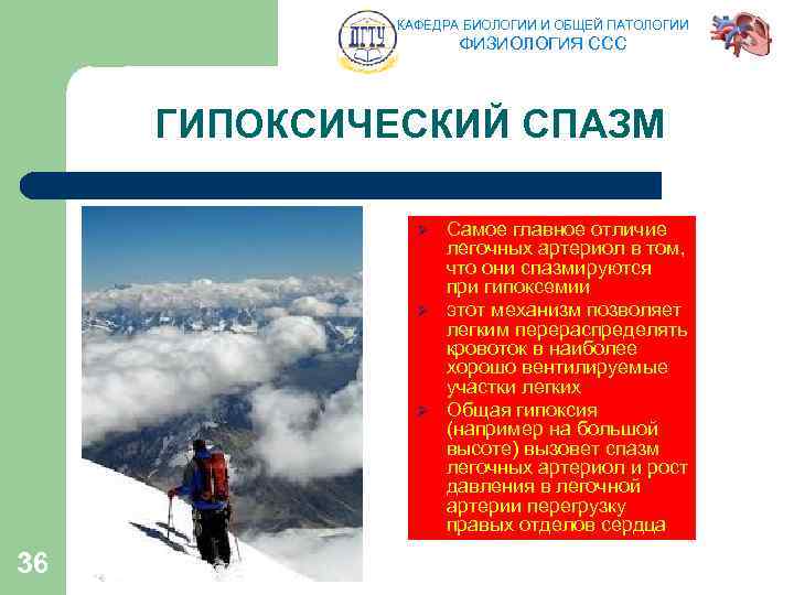 КАФЕДРА БИОЛОГИИ И ОБЩЕЙ ПАТОЛОГИИ ФИЗИОЛОГИЯ ССС ГИПОКСИЧЕСКИЙ СПАЗМ Ø Ø Ø 36 Самое
