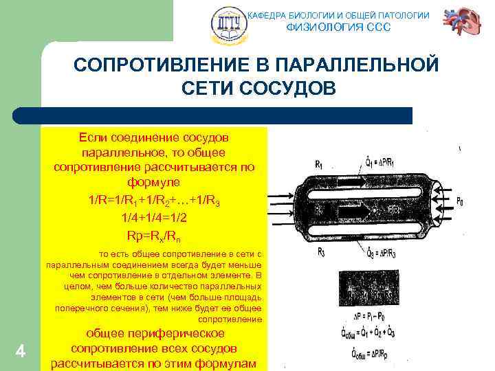 КАФЕДРА БИОЛОГИИ И ОБЩЕЙ ПАТОЛОГИИ ФИЗИОЛОГИЯ ССС СОПРОТИВЛЕНИЕ В ПАРАЛЛЕЛЬНОЙ СЕТИ СОСУДОВ Если соединение