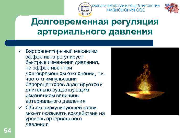 КАФЕДРА БИОЛОГИИ И ОБЩЕЙ ПАТОЛОГИИ ФИЗИОЛОГИЯ ССС Долговременная регуляция артериального давления ü ü 54
