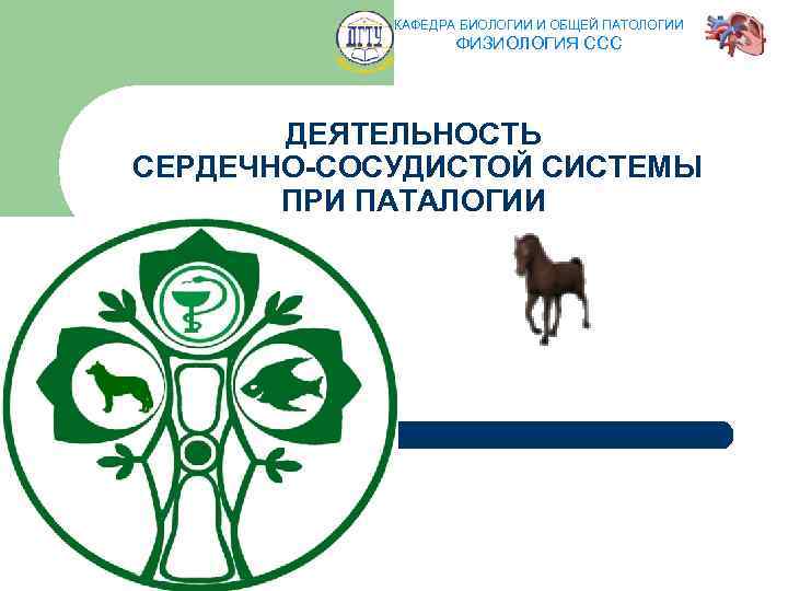 КАФЕДРА БИОЛОГИИ И ОБЩЕЙ ПАТОЛОГИИ ФИЗИОЛОГИЯ ССС ДЕЯТЕЛЬНОСТЬ СЕРДЕЧНО-СОСУДИСТОЙ СИСТЕМЫ ПРИ ПАТАЛОГИИ 70 
