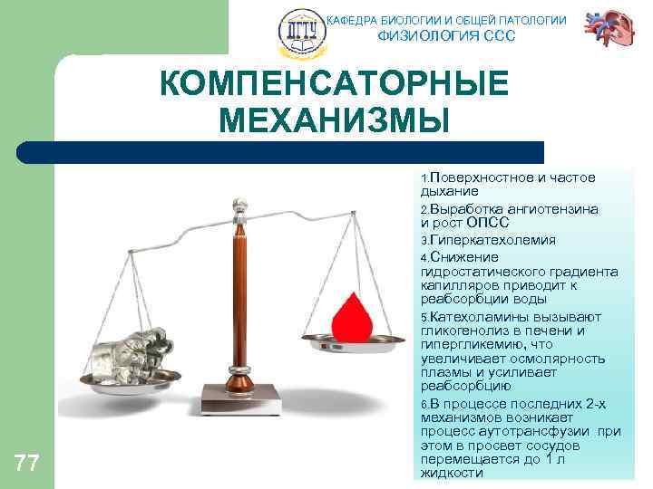 КАФЕДРА БИОЛОГИИ И ОБЩЕЙ ПАТОЛОГИИ ФИЗИОЛОГИЯ ССС КОМПЕНСАТОРНЫЕ МЕХАНИЗМЫ 1. Поверхностное 77 и частое