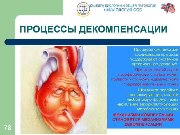 КАФЕДРА БИОЛОГИИ И ОБЩЕЙ ПАТОЛОГИИ ФИЗИОЛОГИЯ ССС ПРОЦЕССЫ ДЕКОМПЕНСАЦИИ 78 Процессы компенсации возникающие при