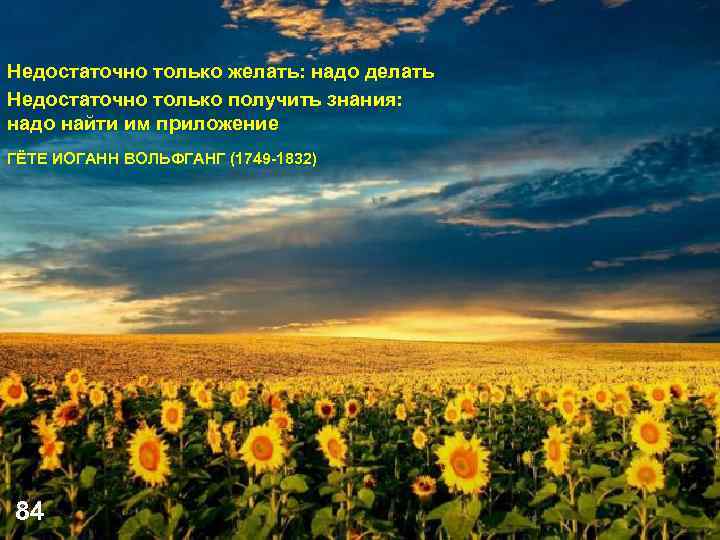 Недостаточно только желать: надо делать Недостаточно только получить знания: надо найти им приложение ГЁТЕ