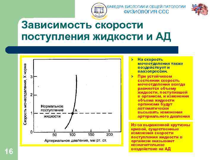 КАФЕДРА БИОЛОГИИ И ОБЩЕЙ ПАТОЛОГИИ ФИЗИОЛОГИЯ ССС Зависимость скорости поступления жидкости и АД Ø