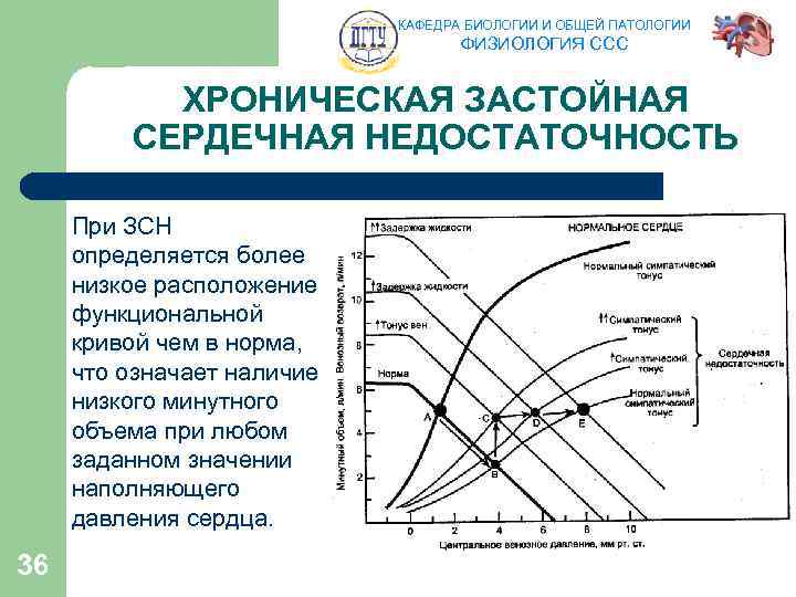 КАФЕДРА БИОЛОГИИ И ОБЩЕЙ ПАТОЛОГИИ ФИЗИОЛОГИЯ ССС ХРОНИЧЕСКАЯ ЗАСТОЙНАЯ СЕРДЕЧНАЯ НЕДОСТАТОЧНОСТЬ При ЗСН определяется