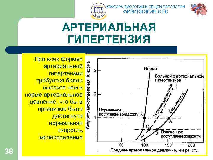 КАФЕДРА БИОЛОГИИ И ОБЩЕЙ ПАТОЛОГИИ ФИЗИОЛОГИЯ ССС АРТЕРИАЛЬНАЯ ГИПЕРТЕНЗИЯ При всех формах артериальной гипертензии