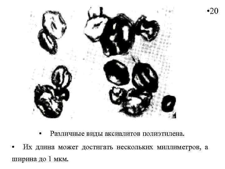  • 20 • • Различные виды аксиалитов полиэтилена. Их длина может достигать нескольких