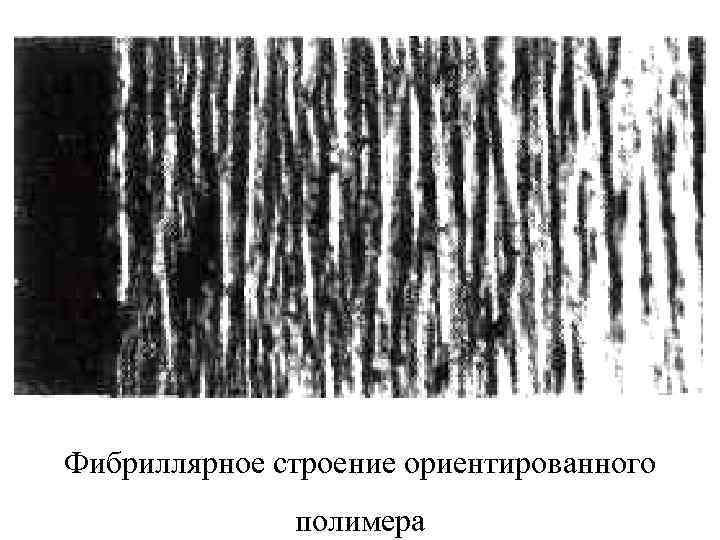 Фибриллярное строение ориентированного полимера 