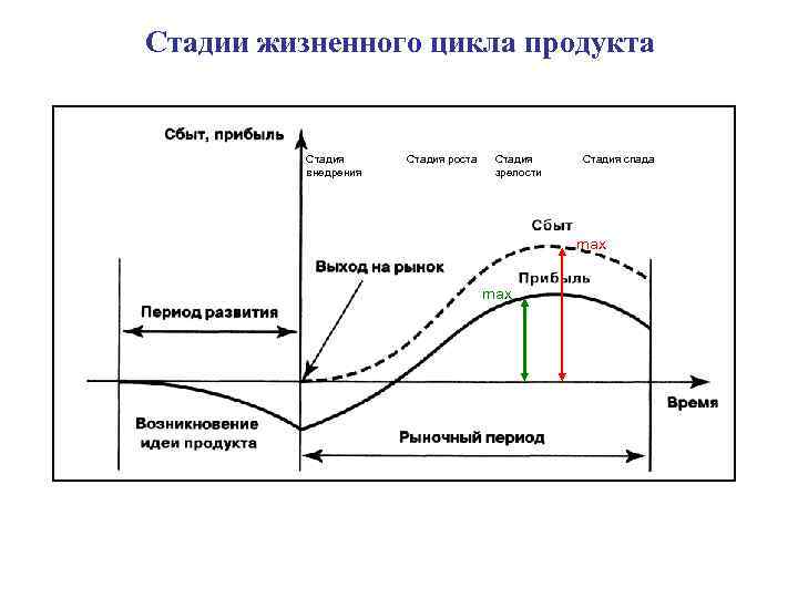 Стадии жизненного цикла продукта Стадия внедрения Стадия роста Стадия зрелости Стадия спада max 