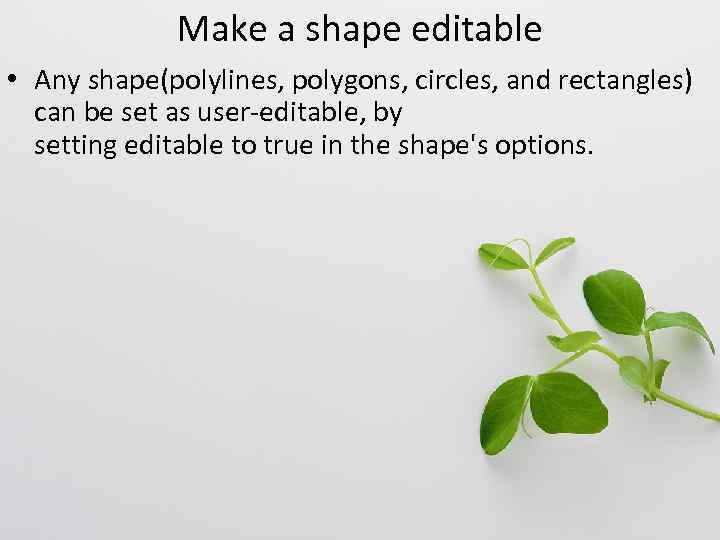 Make a shape editable • Any shape(polylines, polygons, circles, and rectangles) can be set