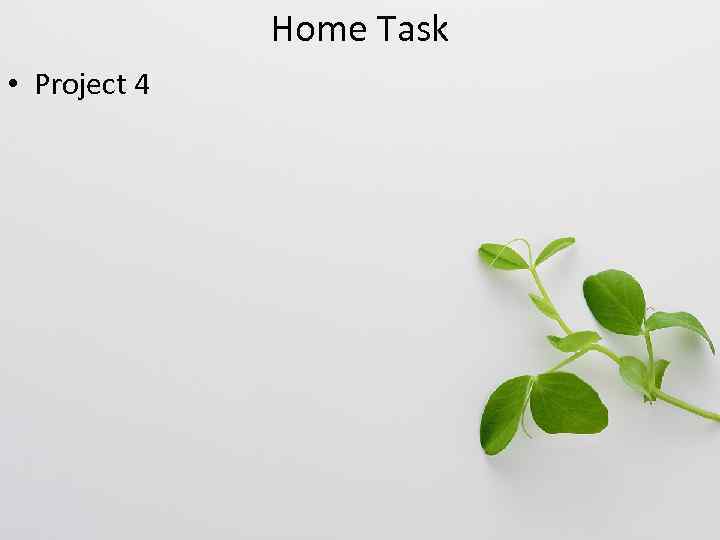 Home Task • Project 4 
