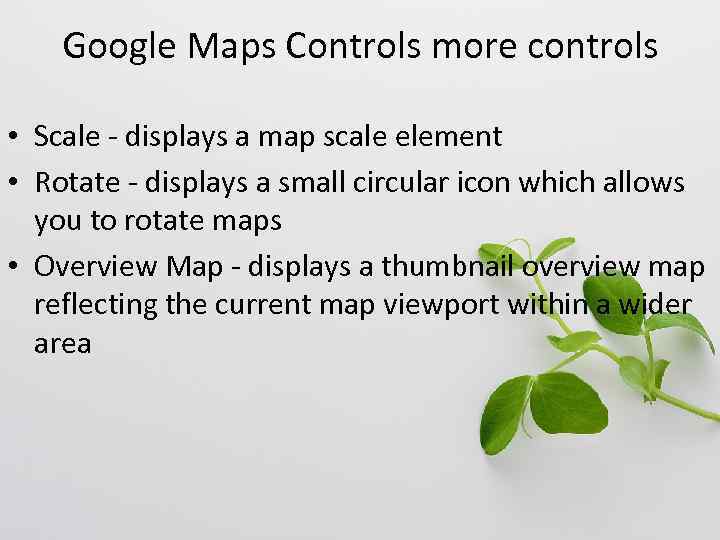 Google Maps Controls more controls • Scale - displays a map scale element •