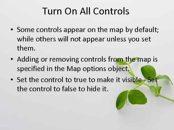 Turn On All Controls • Some controls appear on the map by default; while