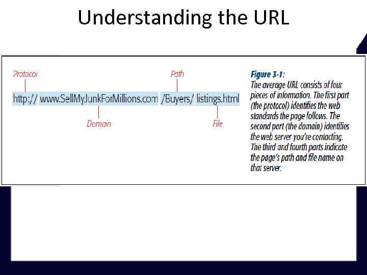 Understanding the URL 