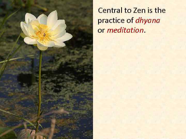 Central to Zen is the practice of dhyana or meditation. 