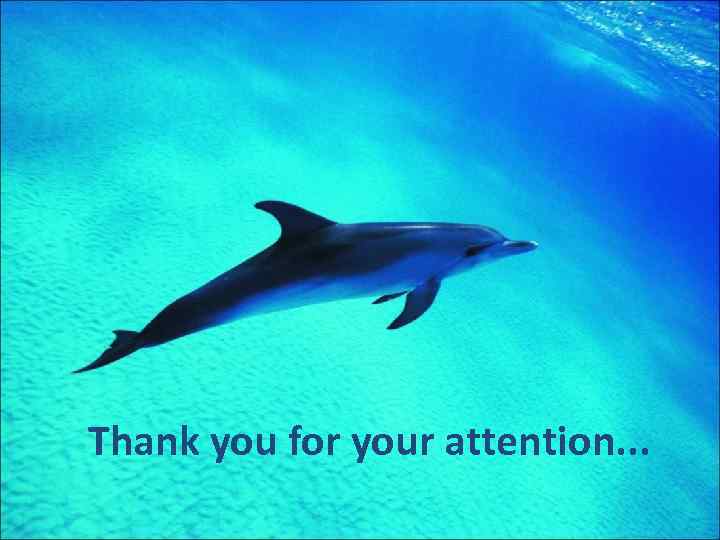 Thank you for your attention. . . 