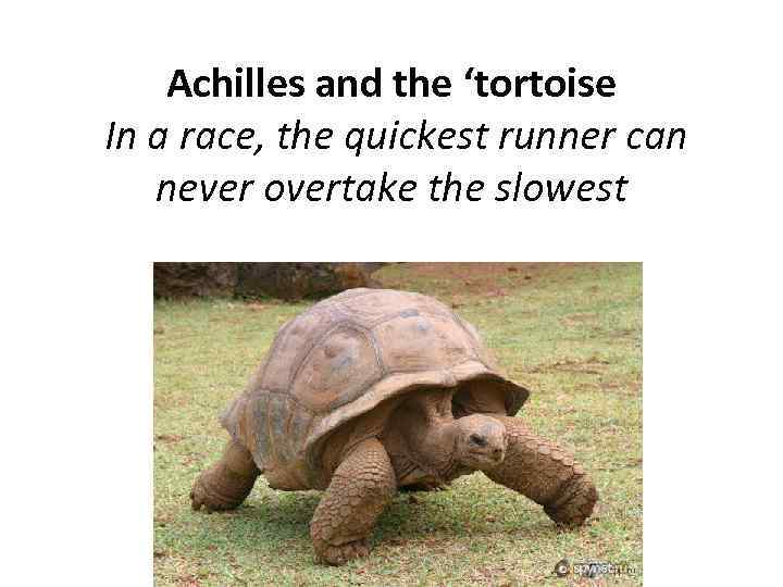 Achilles and the ‘tortoise In a race, the quickest runner can never overtake the