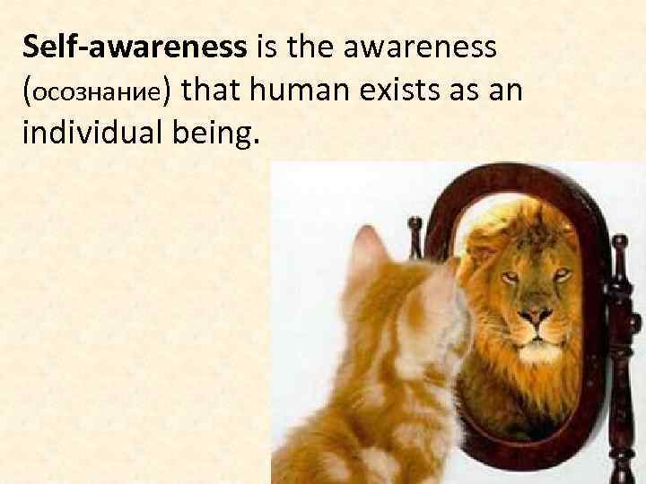 Self-awareness is the awareness (осознание) that human exists as an individual being. 