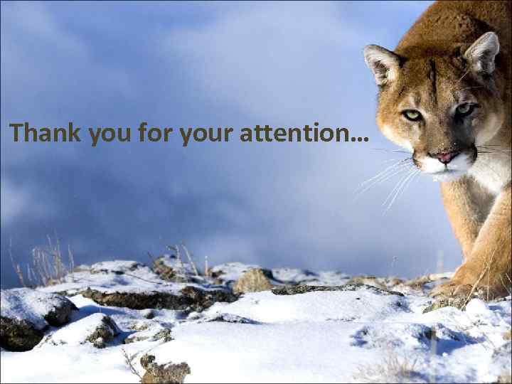 Thank you for your attention… 