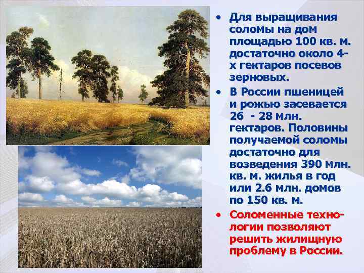  • Для выращивания соломы на дом площадью 100 кв. м. достаточно около 4