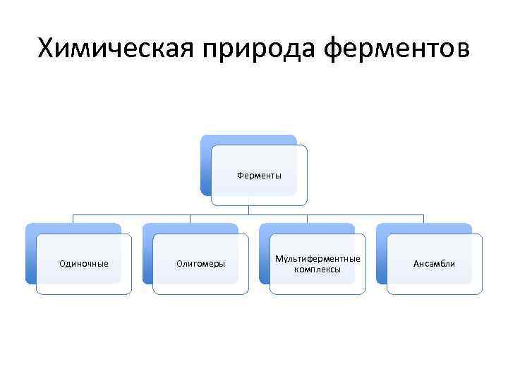 Химическая природа ферментов Ферменты Одиночные Олигомеры Мультиферментные комплексы Ансамбли 