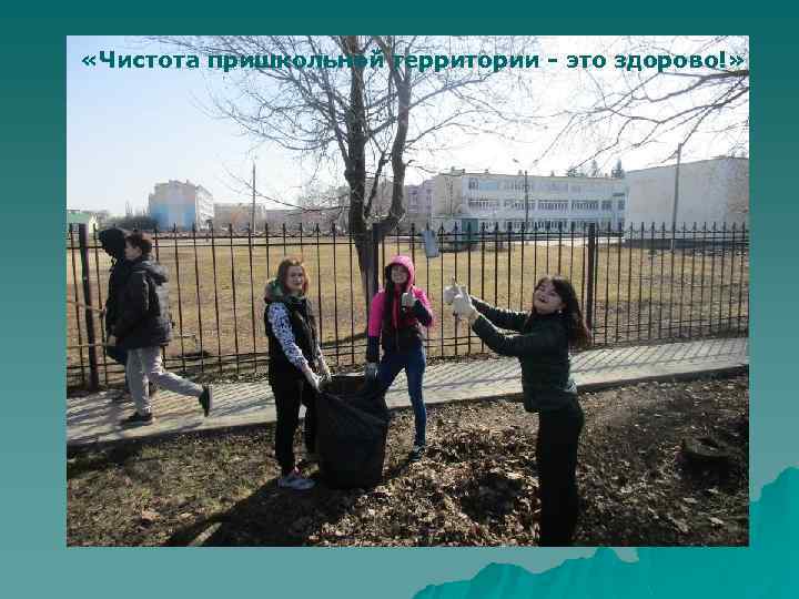  «Чистота пришкольной территории - это здорово!» 