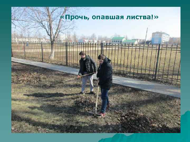  «Прочь, опавшая листва!» 