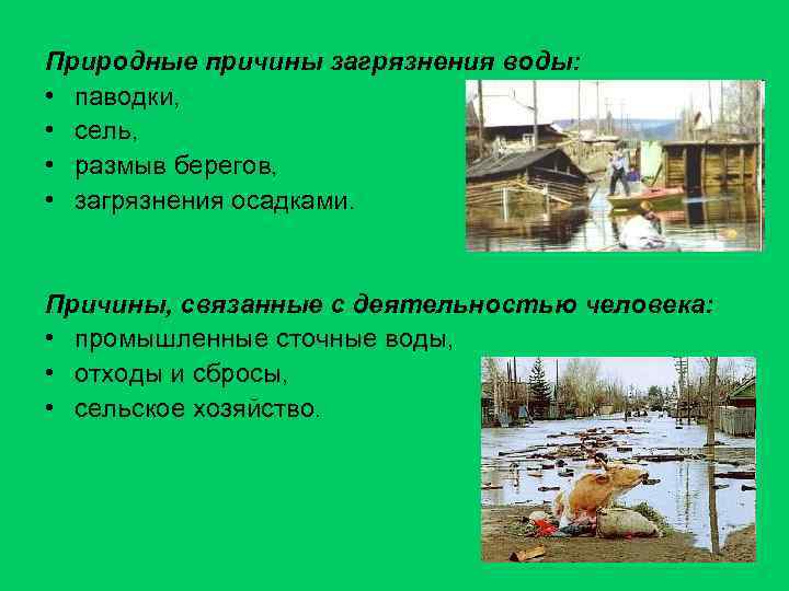 Природные причины загрязнения воды: • паводки, • сель, • размыв берегов, • загрязнения осадками.