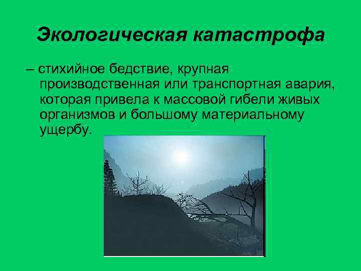 Экологическая катастрофа – стихийное бедствие, крупная производственная или транспортная авария, которая привела к массовой