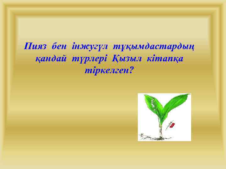 Пияз бен інжугүл тұқымдастардың қандай түрлері Қызыл кітапқа тіркелген? 