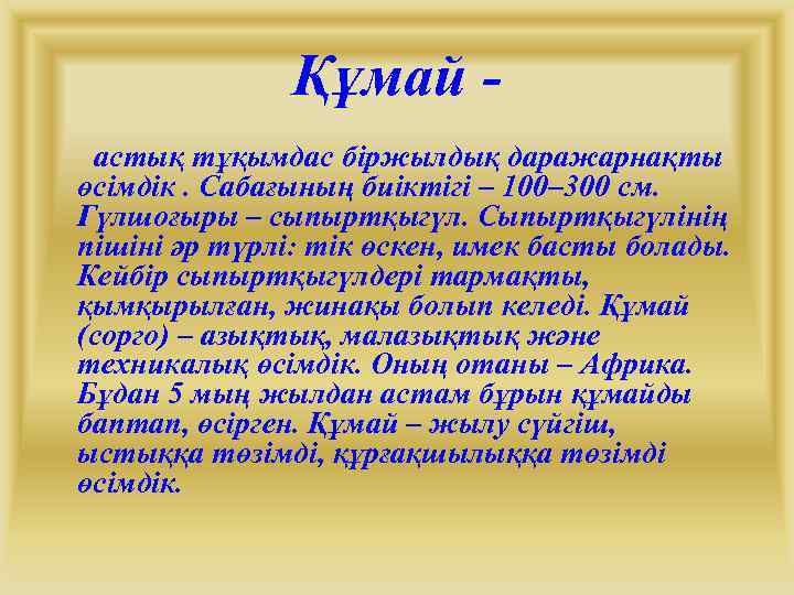 Құмай астық тұқымдас біржылдық даражарнақты өсімдік. Сабағының биіктігі – 100– 300 см. Гүлшоғыры –