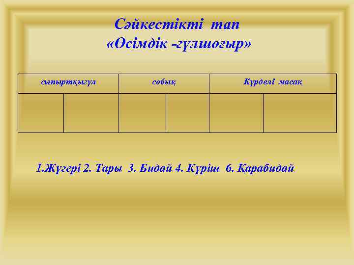 Сәйкестікті тап «Өсімдік -гүлшоғыр» сыпыртқыгүл собық Күрделі масақ 1. Жүгері 2. Тары 3. Бидай